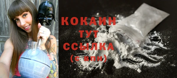 индика Заволжье