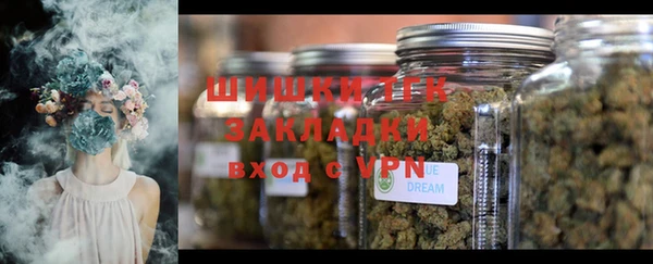 герыч Пересвет