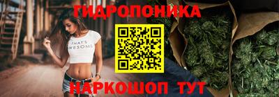 хмурый Малоярославец