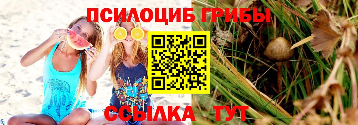 Галлюциногенные грибы Psilocybine cubensis Слободской