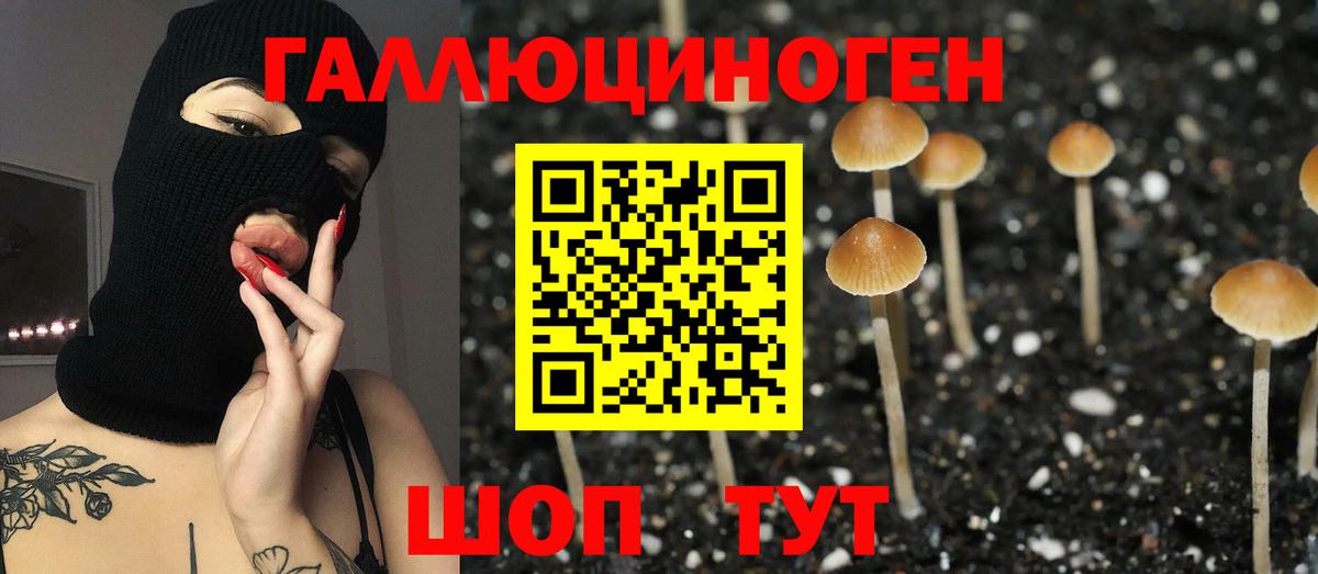 Галлюциногенные грибы Psilocybe  Галлюциногенные грибы мухоморы  как найти закладки  Вход с VPN  Слободской 